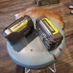 Ryobi 40 Volt Batteries 