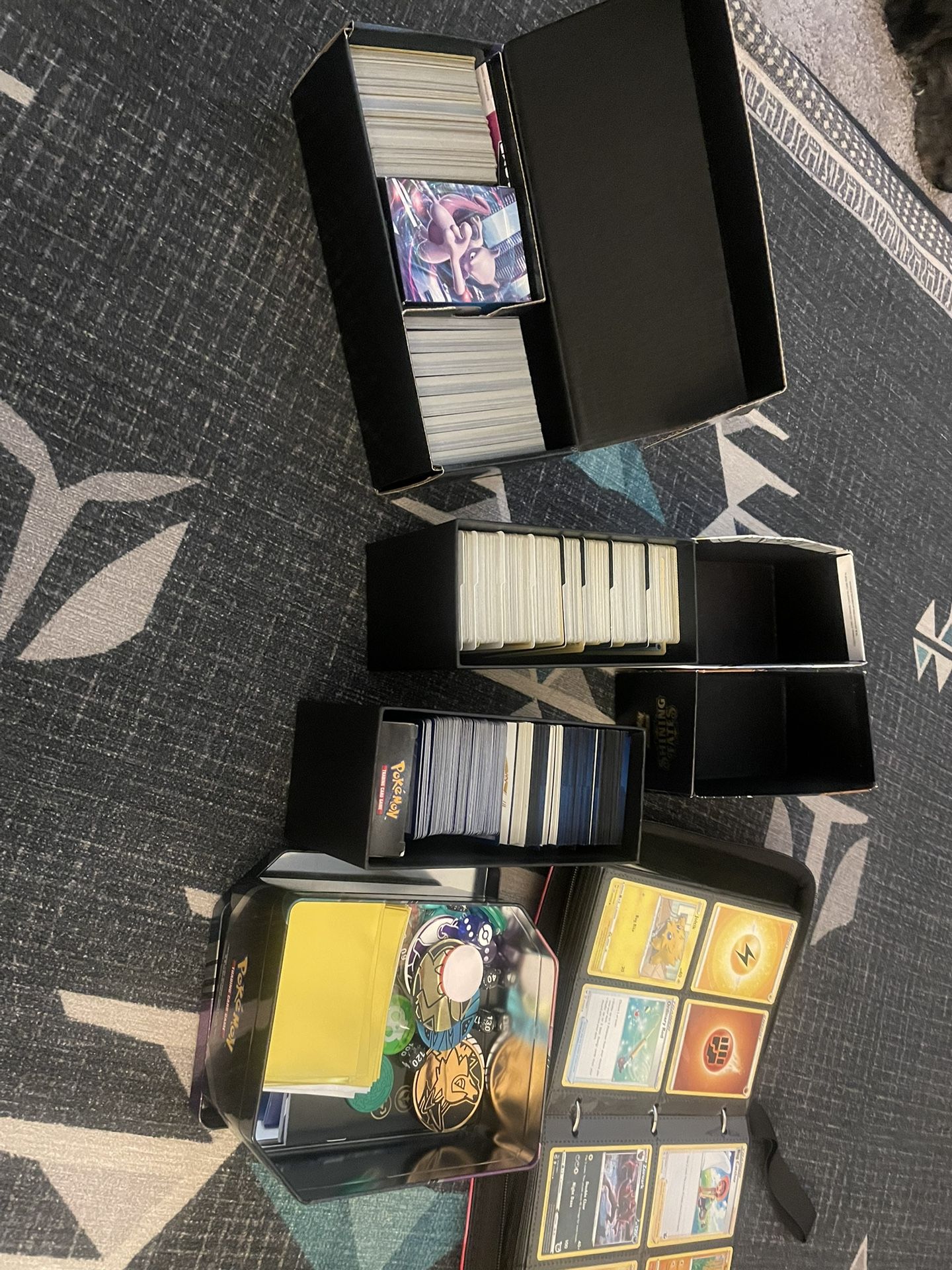 Pokemon Collection