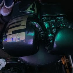Title Boxing Gloves