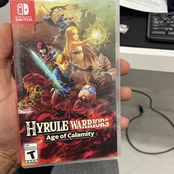 Hyrule warriors age of calamity switch game