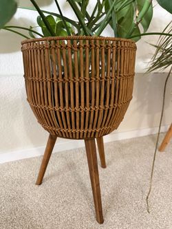 Plants