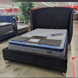 Darkbed