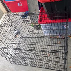 Dog Cage 