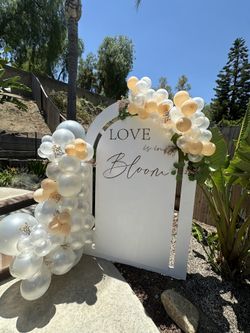 Bridal Shower Balloon Backdrop🥂🤍