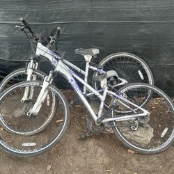 Schwinn GTX 3 DUAL SPORT BIKE 