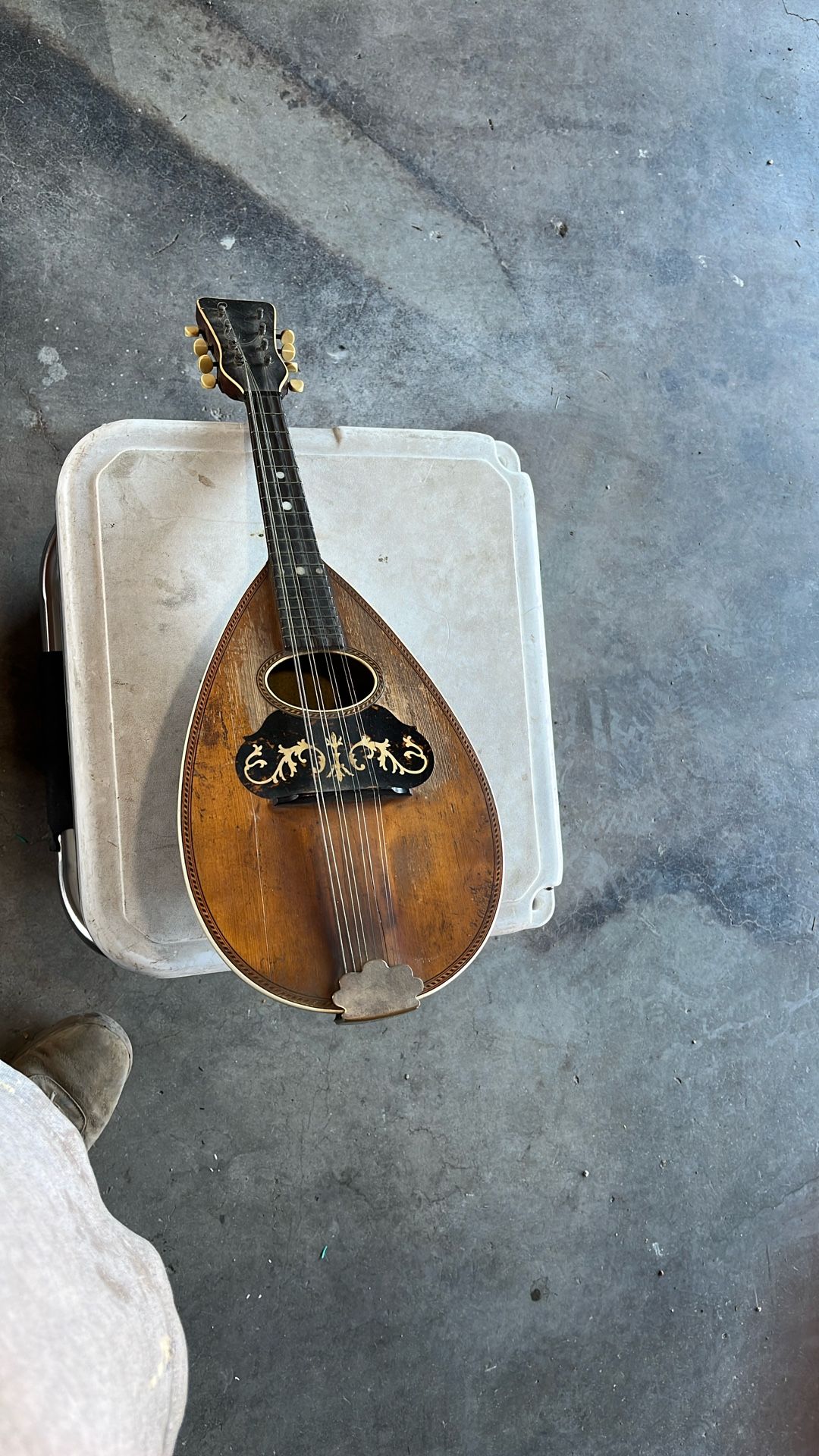 1905 Mandolin
