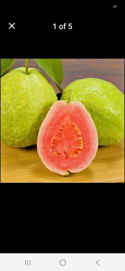 Assorted fruit trees