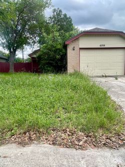 Lawn cut