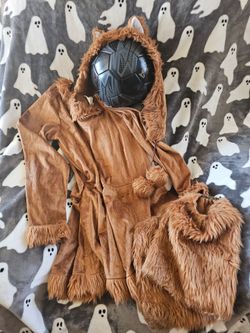 Foxy Girl Costume 14/16