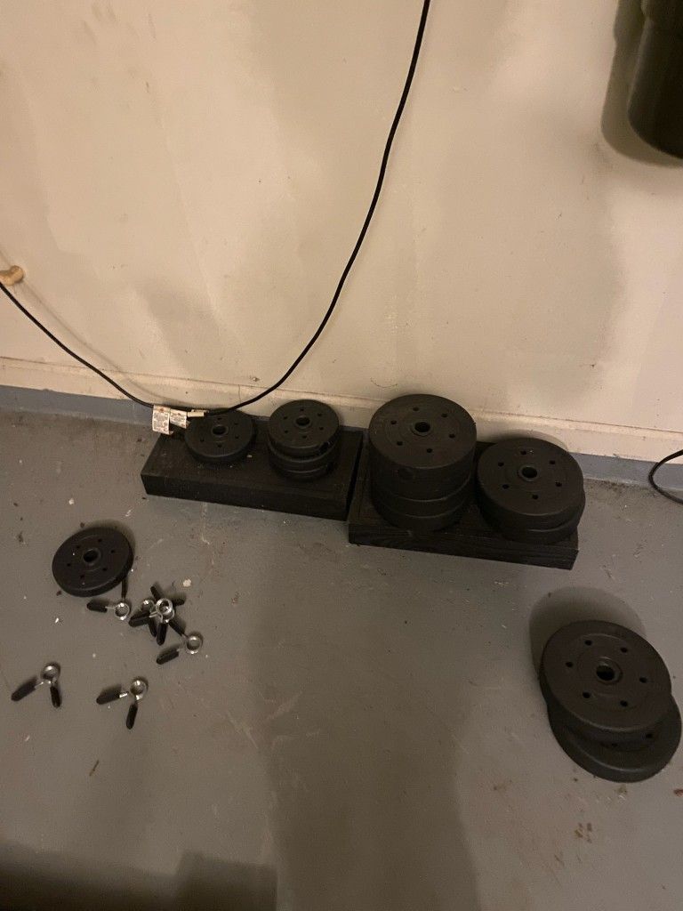 Weights And Bench