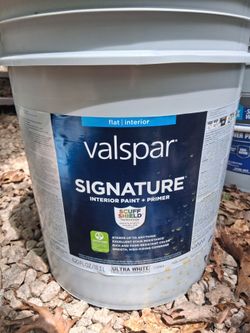 Flat paint 5 gallons