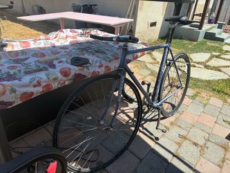 Fixed gear