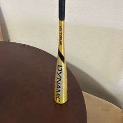 True Temper Dynamic Bat.