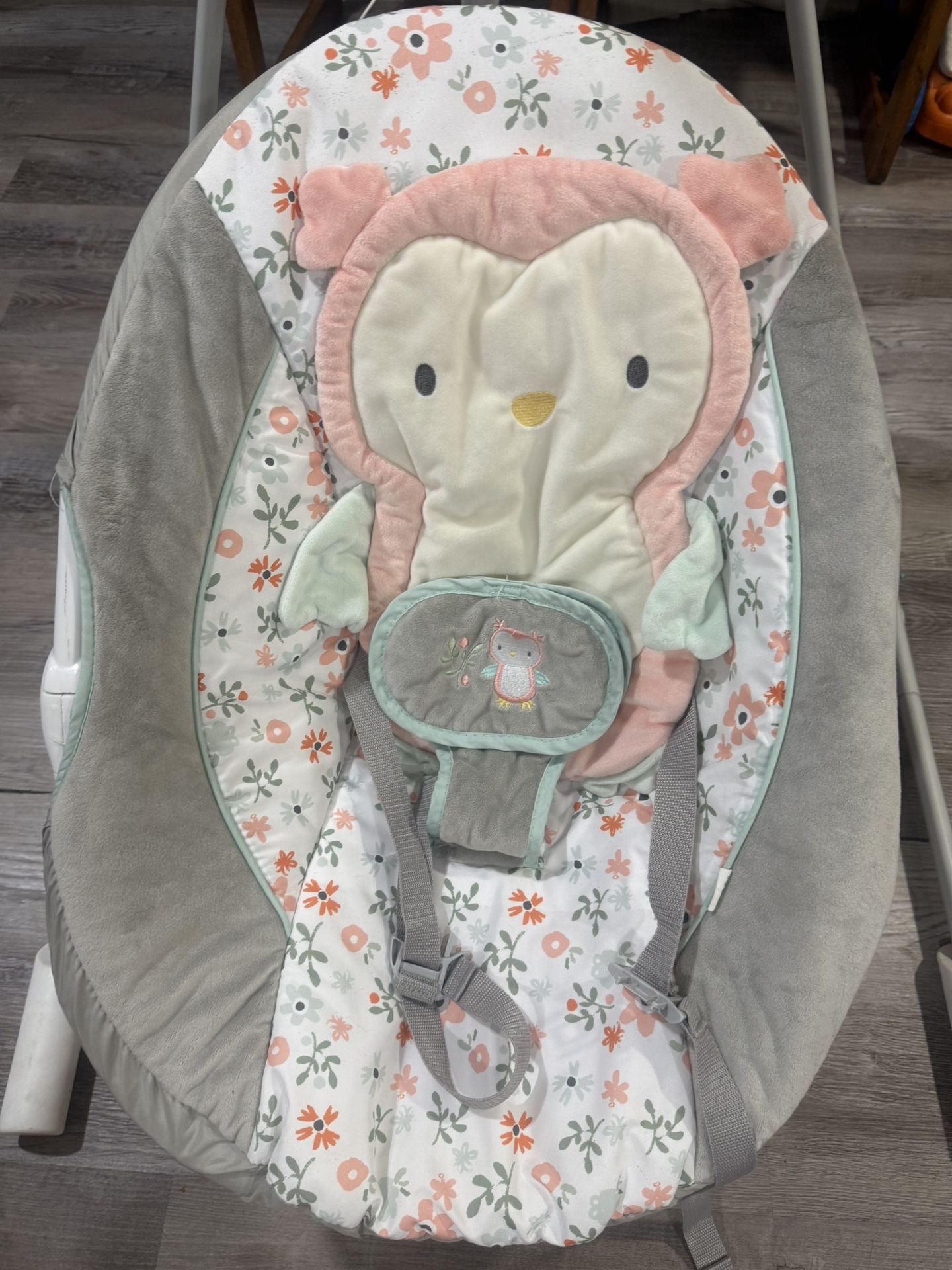 Ingenuity Baby Swing