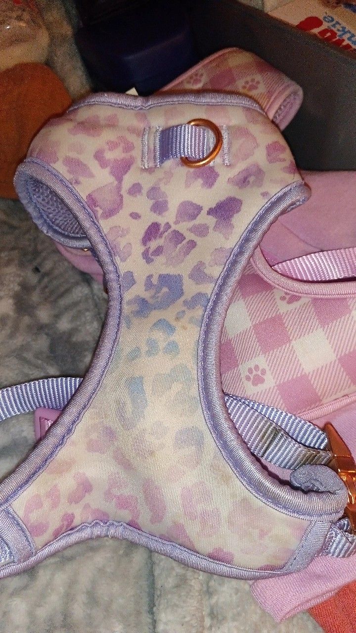 Dog Harness Size Small 