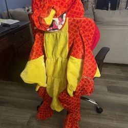 Dragon Costume