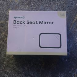 Back Seat Mirror