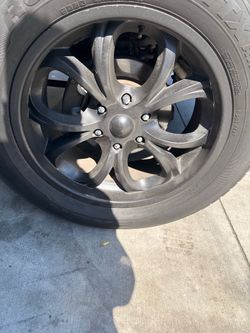 Want to trade for some stock 16-17inch cookies