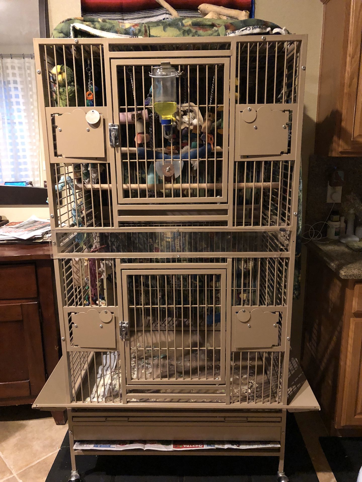 Bird Cage For Sale