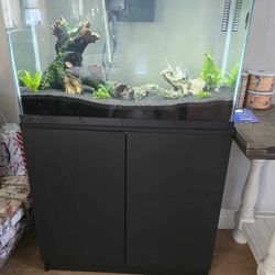 30 Gallon Fish Tank