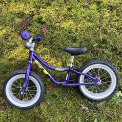 Gt Balance Strider Bike