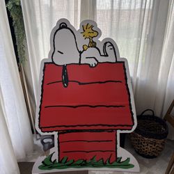 Snoopy Backdrop 