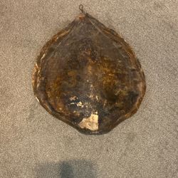 Turtle Shell 