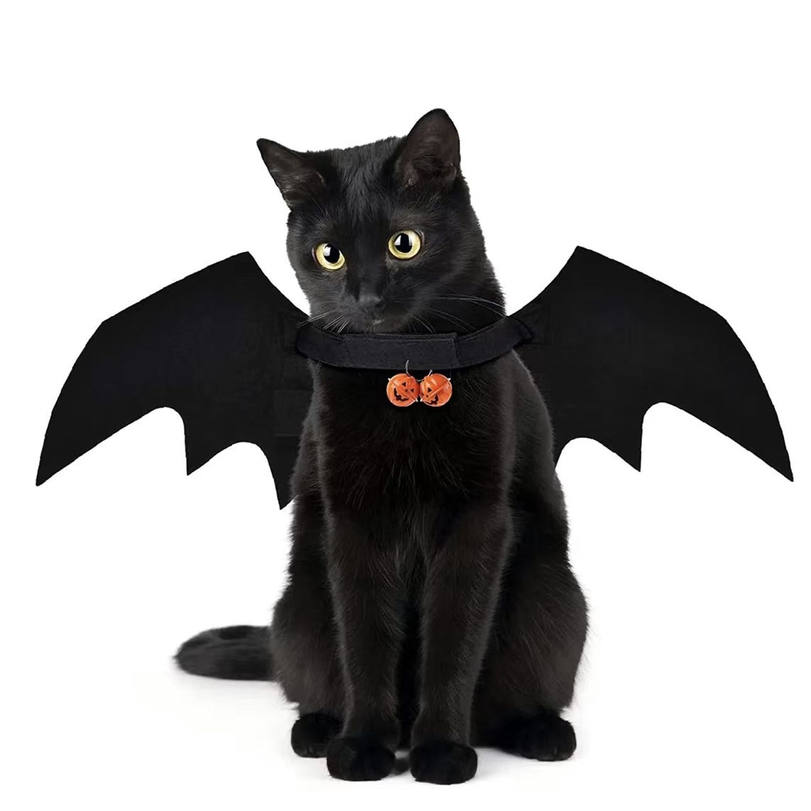 Cat Halloween Bat Costume, Pet Accessories