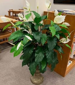 3 ft - FAUX  PLANT SPATHIPHYLLUM