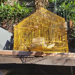 Bird Cage