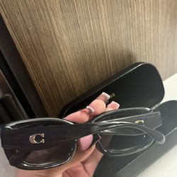 Coach Sun Glasses 