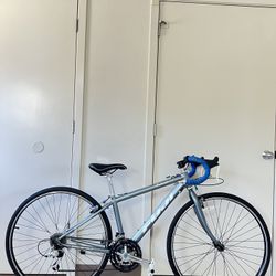 Fuji  Palisade 1.0 Road Bike 