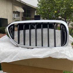 Bmw Grill