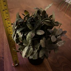 Artificial Potted Plant by ikea —Planta en maceta artificial de ikea