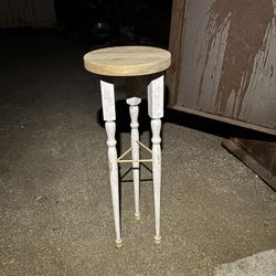 Tall Plant Table