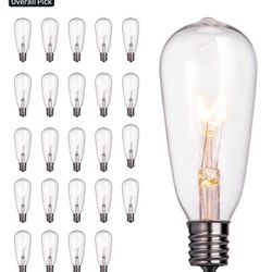 Brightown 24-Pack Edison Replacement Light Bulbs,7W E17