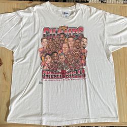 rare, vintage Chicago Bulls t-shirt, 1996 NBA finals, white, XXL