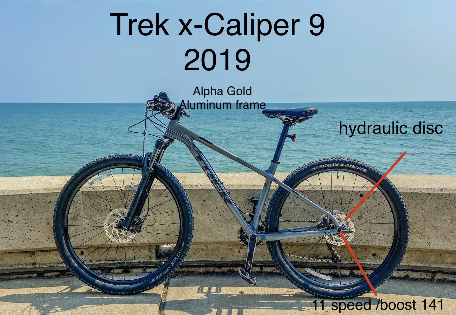 Trek X-Caliper 9 2019