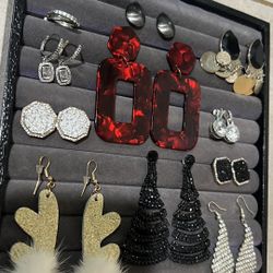Earring With The Organizer 