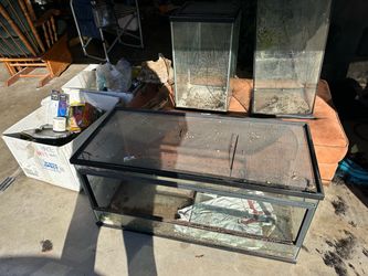 Glass Reptile Terrariums with Screen Lids and supplies
