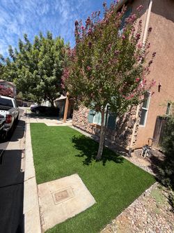Turf