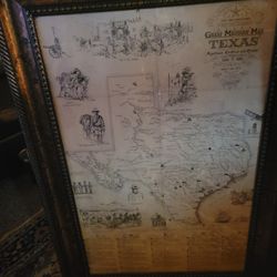 LG Nice Frame Texas Map