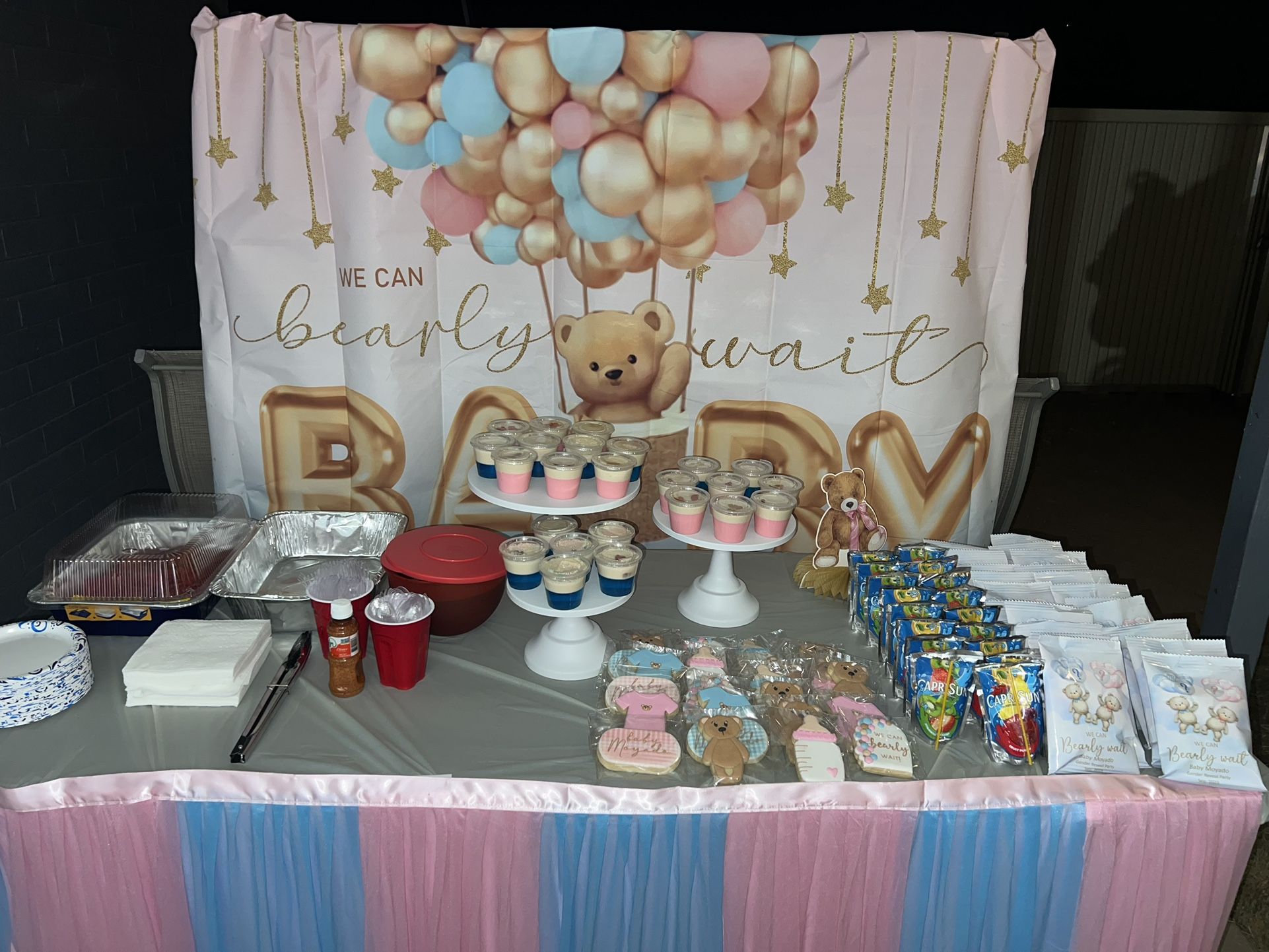 Teddy Bear Gender Reveal Back Drop 