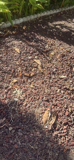 Free lava Rock for landscaping