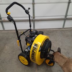Parking lot blower