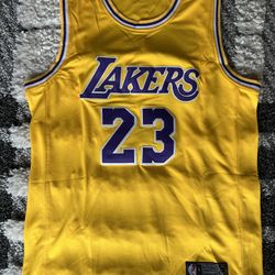Lebron James - Large Jersey - Los Angeles Lakers 