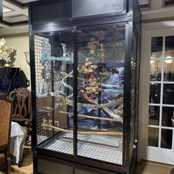 Parrot Custom Cage 