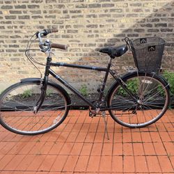 Adult-sized black Schwinn bike in excellent condition. 