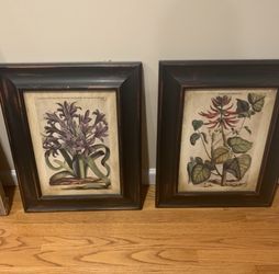 Prints