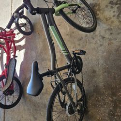 Lark 6 speed 20in bike